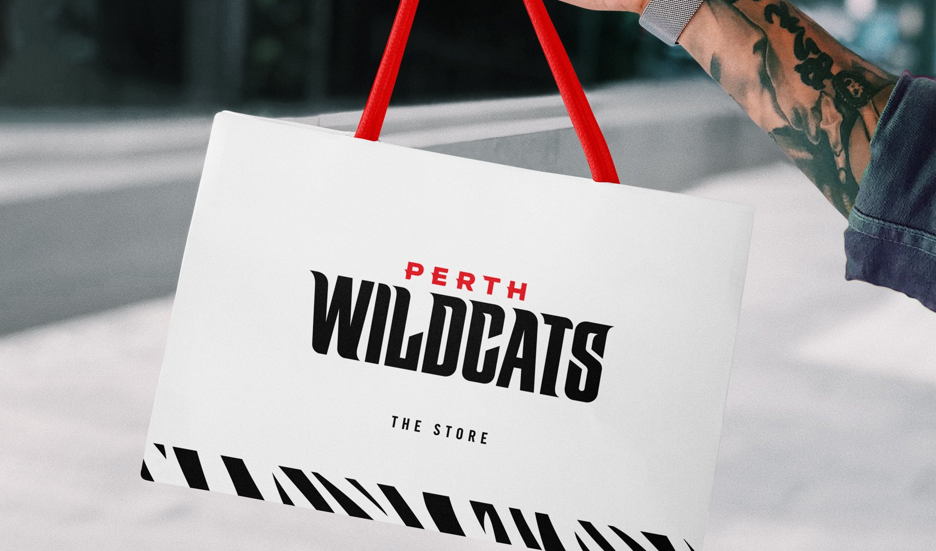 Wildcats Bag
