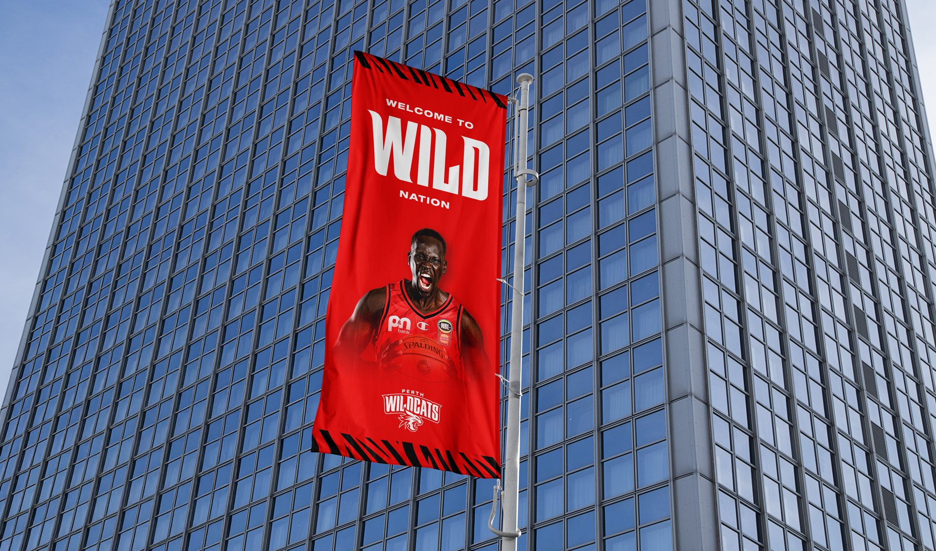 Wildcats Flag
